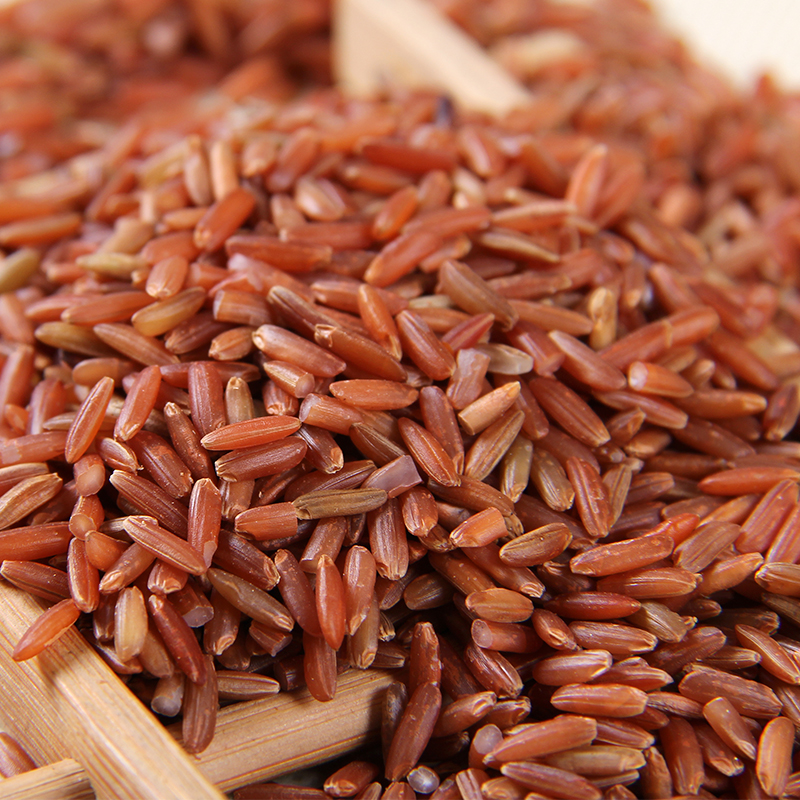 紅米 營養(yǎng)豐富的老郭家鋪子月子紅稻米