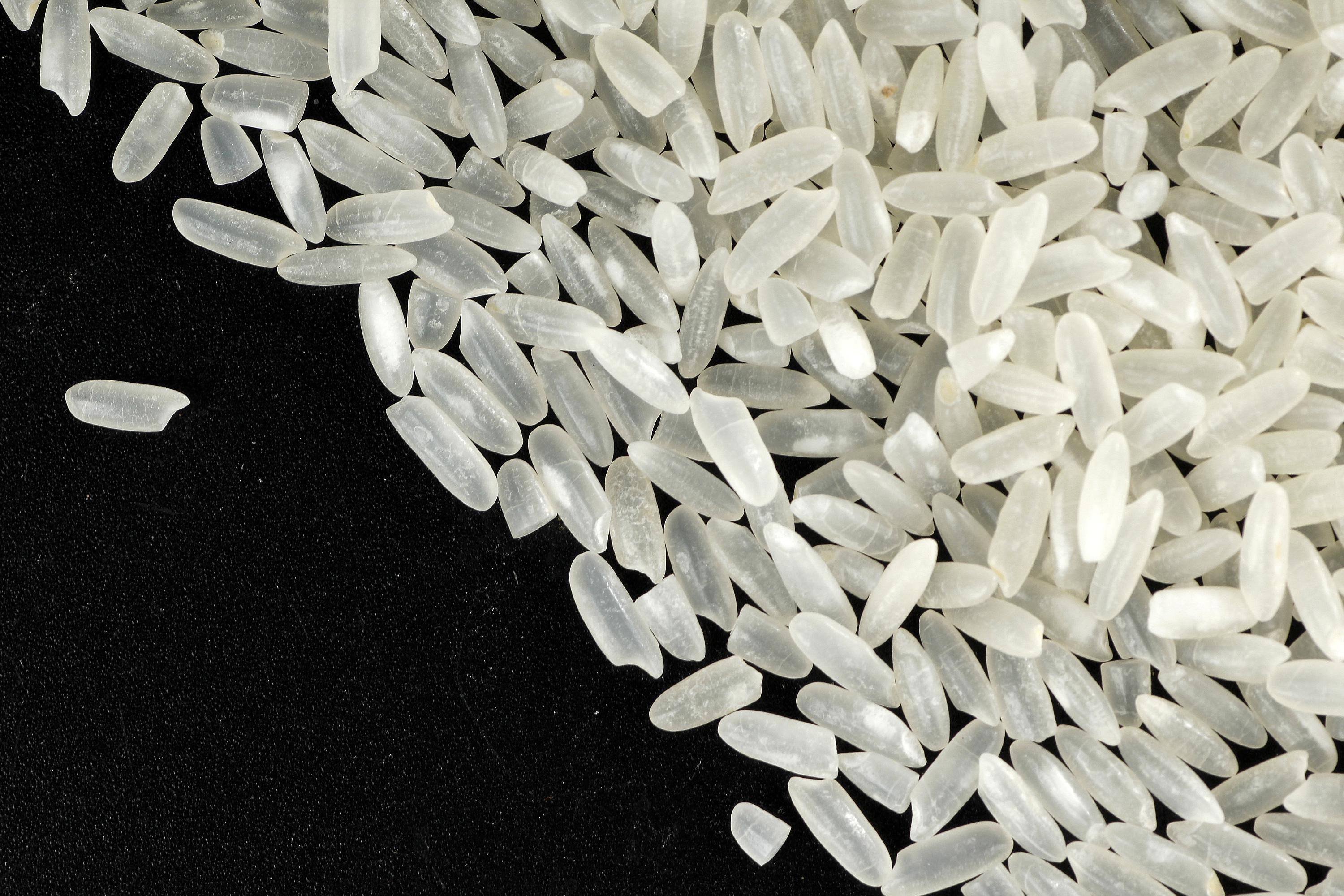 這些地方的大米都很好吃，哪一口是你的家鄉(xiāng)味？