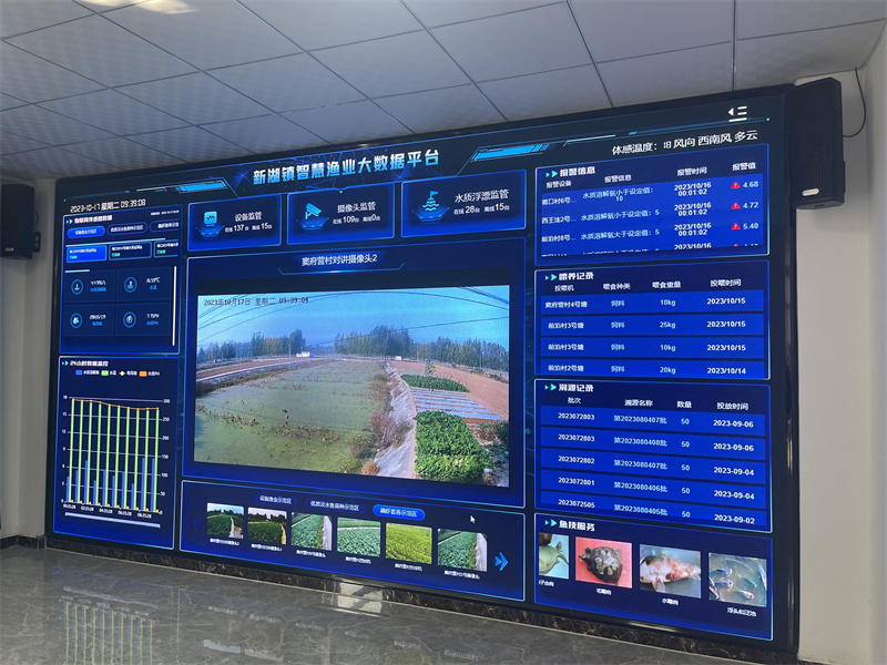 特色產(chǎn)業(yè)效益高、托管服務(wù)帶動(dòng)強(qiáng) 泰安農(nóng)業(yè)農(nóng)村重點(diǎn)項(xiàng)目繪就鄉(xiāng)村振興新圖景