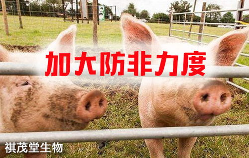 筑牢生物安全屏障 抓實(shí)關(guān)鍵措施，防控重大疫病，保障畜牧漁業(yè)飼料銷售穩(wěn)定